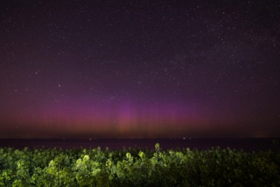 Aurora über Rapsfeld ca. 22:15 UTC; 15s sek, iso 3200