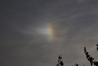 li Ns 2602261430-F.jpg