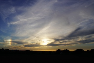 DSC02707(1).jpg