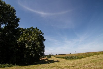 20160816-IMG_3449.jpg (114.42 KiB) 1932 mal betrachtet Weitwinkel 10mm - 11.45Uhr