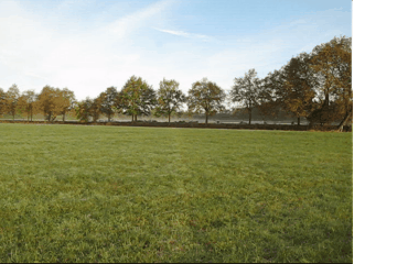 vid.gif