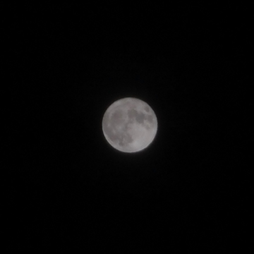 IMGP9481.jpg