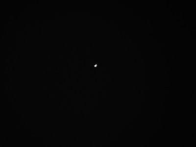 Sony DSC-HX400V, 1200mm Brennweite bei ISO 100, Blende 6.3 und 1/250s Belichtungszeit: Foto bearbeitet