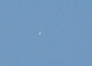 Venussichel mit 200mm-Teleobjektiv