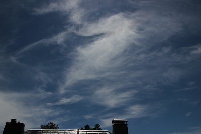 IMG_9520-1.jpg